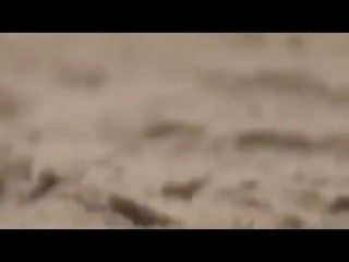 جمهور قذر فيلم قصاصة حزب في ال عري شاطئ